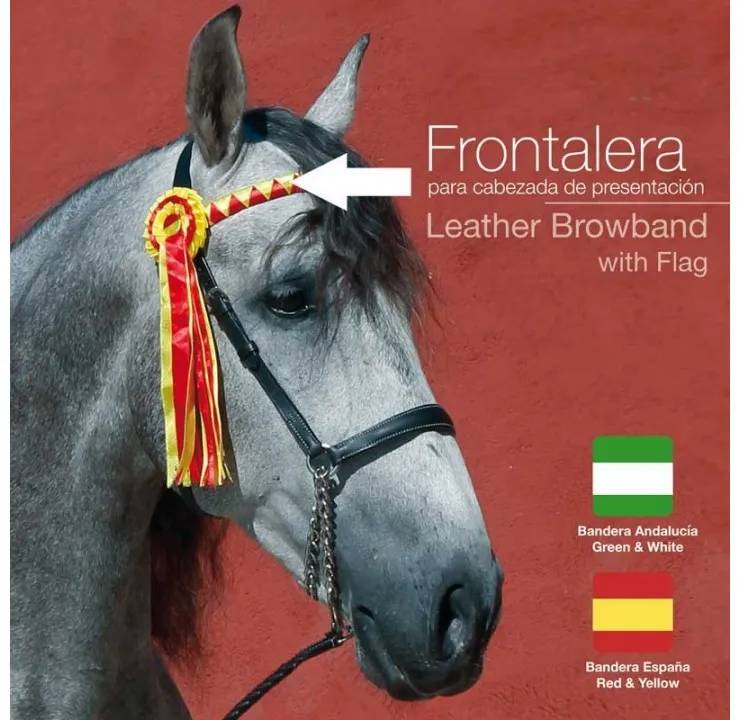 48B2F5A4-5431-47FC-8C15-D9E07B60BD7D FRONTALERA PARA CABEZADA PRESENTACIÓN - Imagen 1