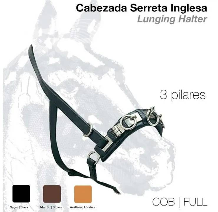 6E9B4AFC-DAFB-4B68-A6DD-5F05BC34E073 CABEZADA SERRETA INGLESA 3-pilares 101 - Imagen 1
