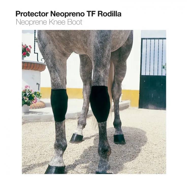 CA97B855-0FB4-4A8B-9218-BA44393DC0D6 PROTECTOR NEOPRENO TF RODILLA TN-1508 NEGRO Zaldi - Imagen 1
