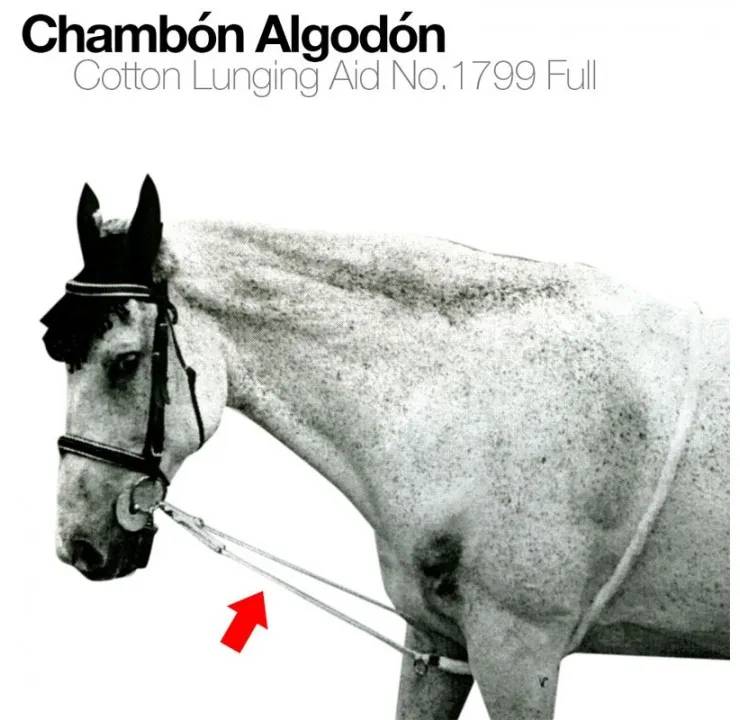 ABEB10EB-BCB4-4B6A-A11C-E192FEB6586A CHAMBÓN ALGODÓN 1799 Zaldi - Imagen 1