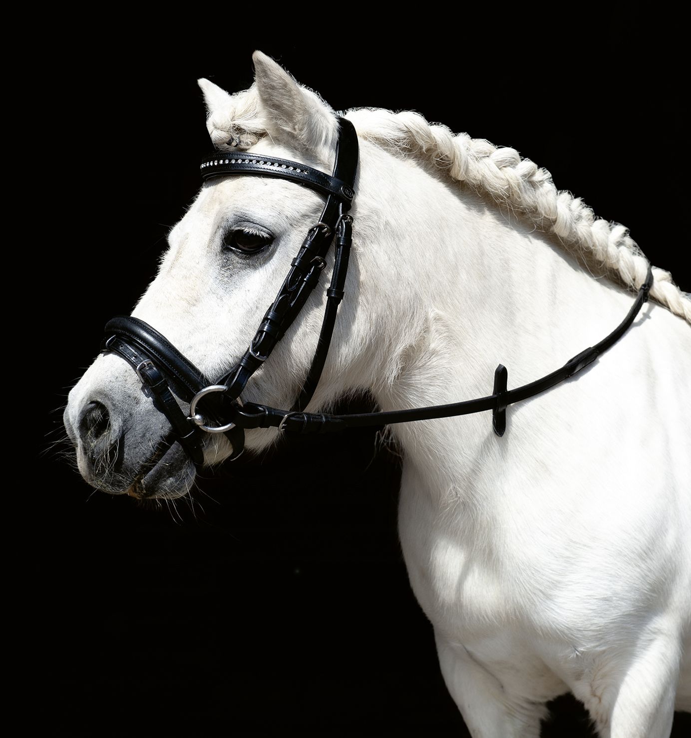 cabezada inglesa pony Cabezada HKM Mini Shetty 1393 - Imagen 1