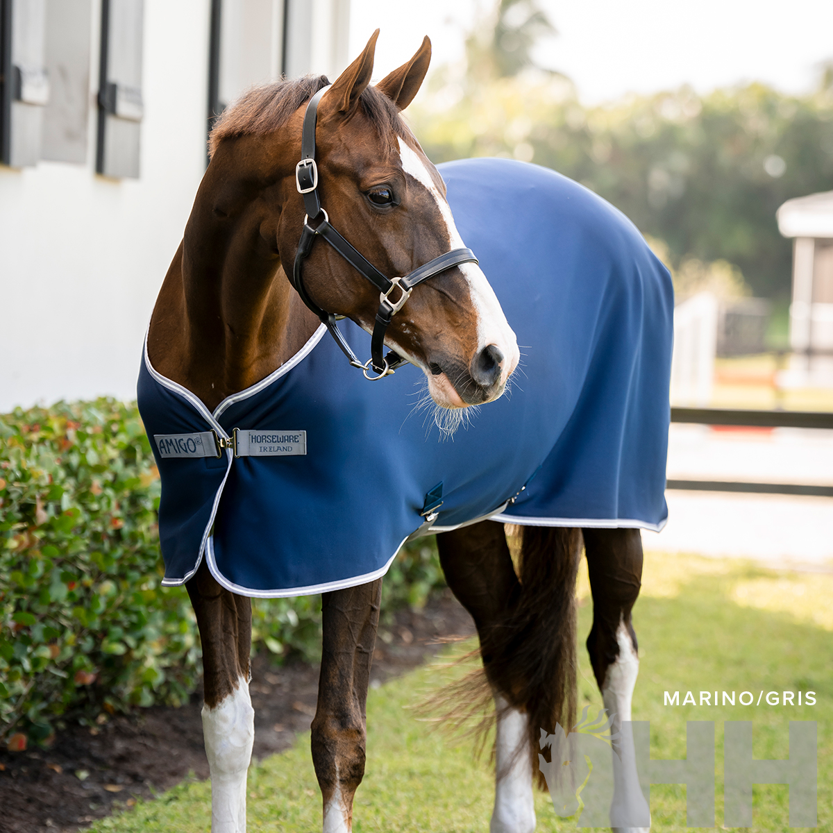 ref_04901 MANTA AMIGO JERSEY COOLER PONY SECADO - Imagen 1