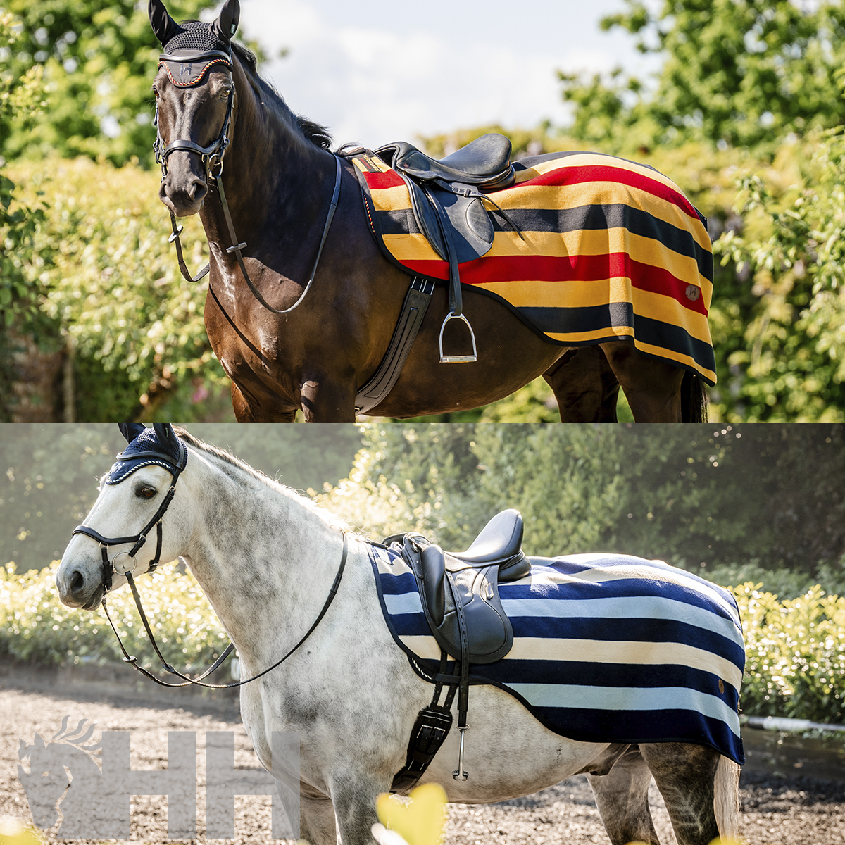 ref_07097 MANTA HORSEWARE NEWMARKET RIÃONERA POLAR - Imagen 1
