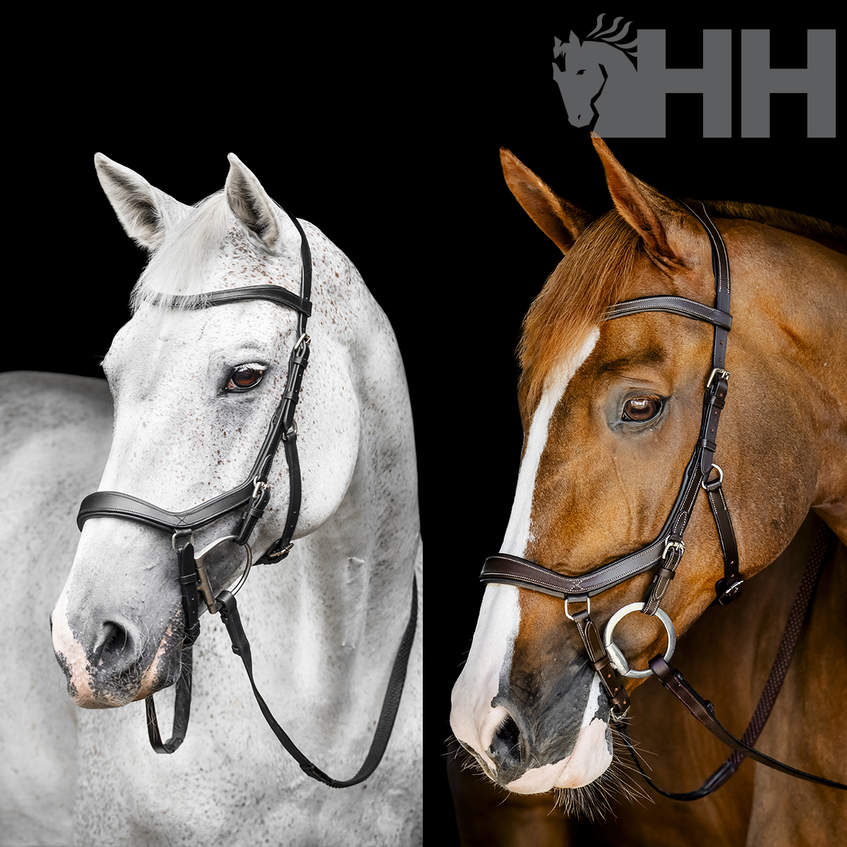 ref_07111 CABEZADA INGLESA HORSEWARE MICKLEM BITLESS BRIDLE - Imagen 1